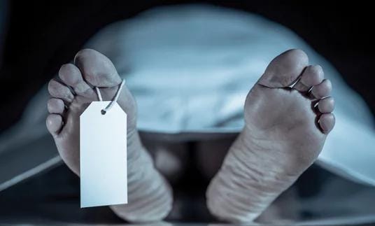 218e1460-b42f-48e9-95da-c2dbebe66eb7