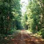 IMG-20260222-WA0007(1)