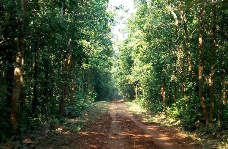 IMG-20260222-WA0007(1)