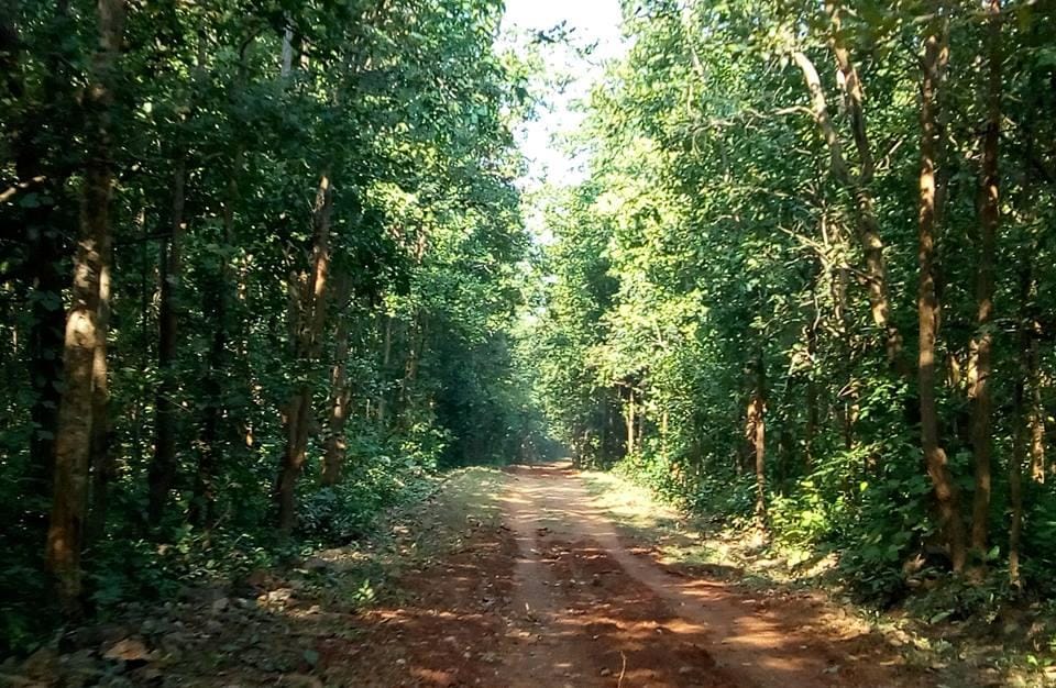 IMG-20260222-WA0007(1)