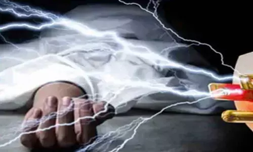 500x300_1427141-electrocution